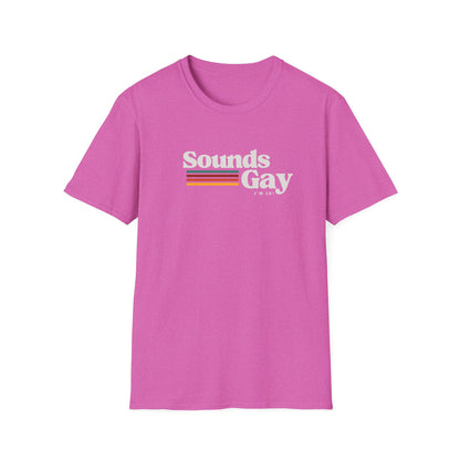 Sounds Gay I'm In 🏳️‍🌈